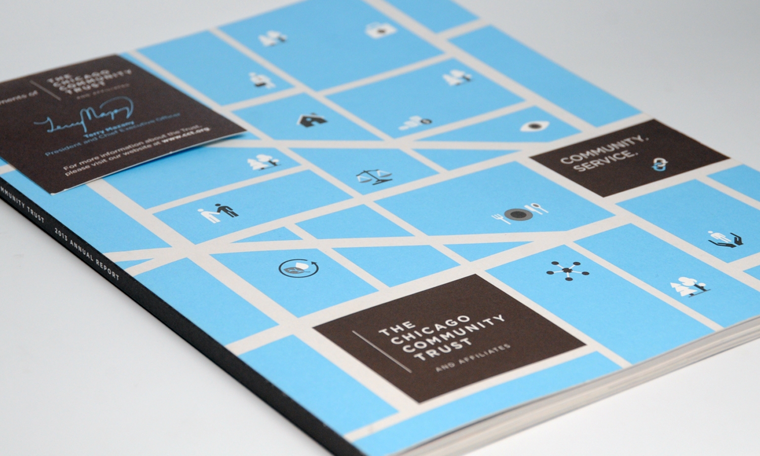 Multiple Inc, Chicago Community Trust, Annual Report