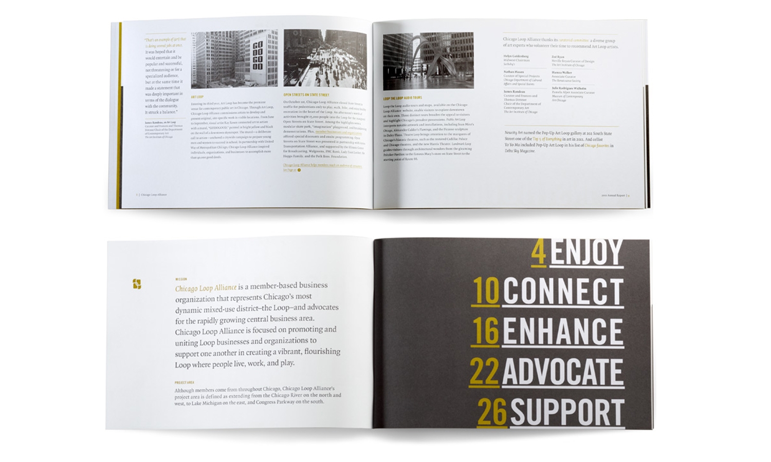 Multiple Inc, Chicago Loop Alliance, Annual Report