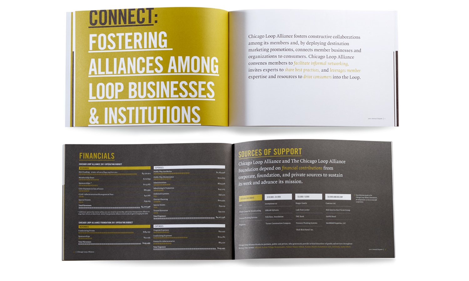 Multiple Inc, Chicago Loop Alliance, Annual Report