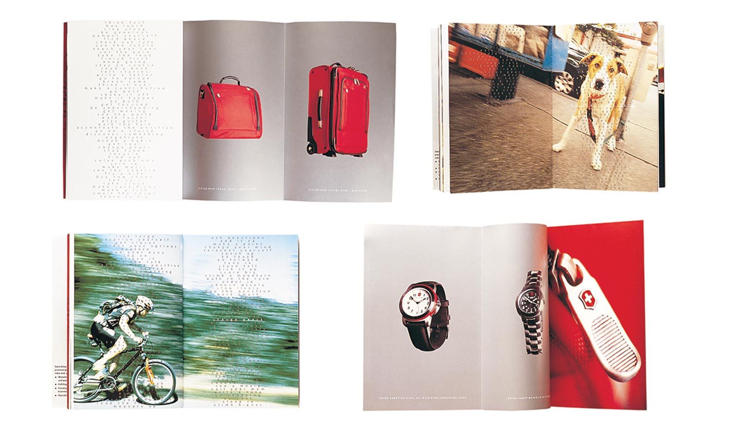Multiple Inc, Swiss Army, Annual Report