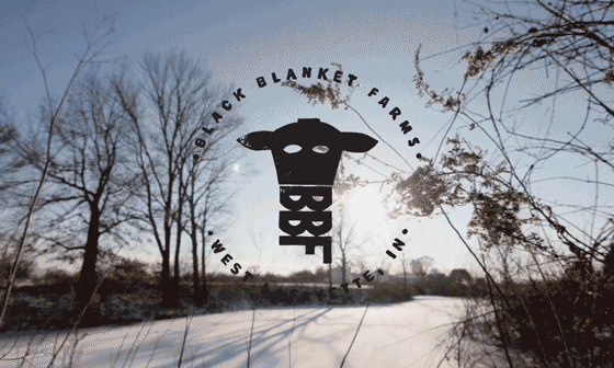 Multiple Inc, Black Blanket Farms