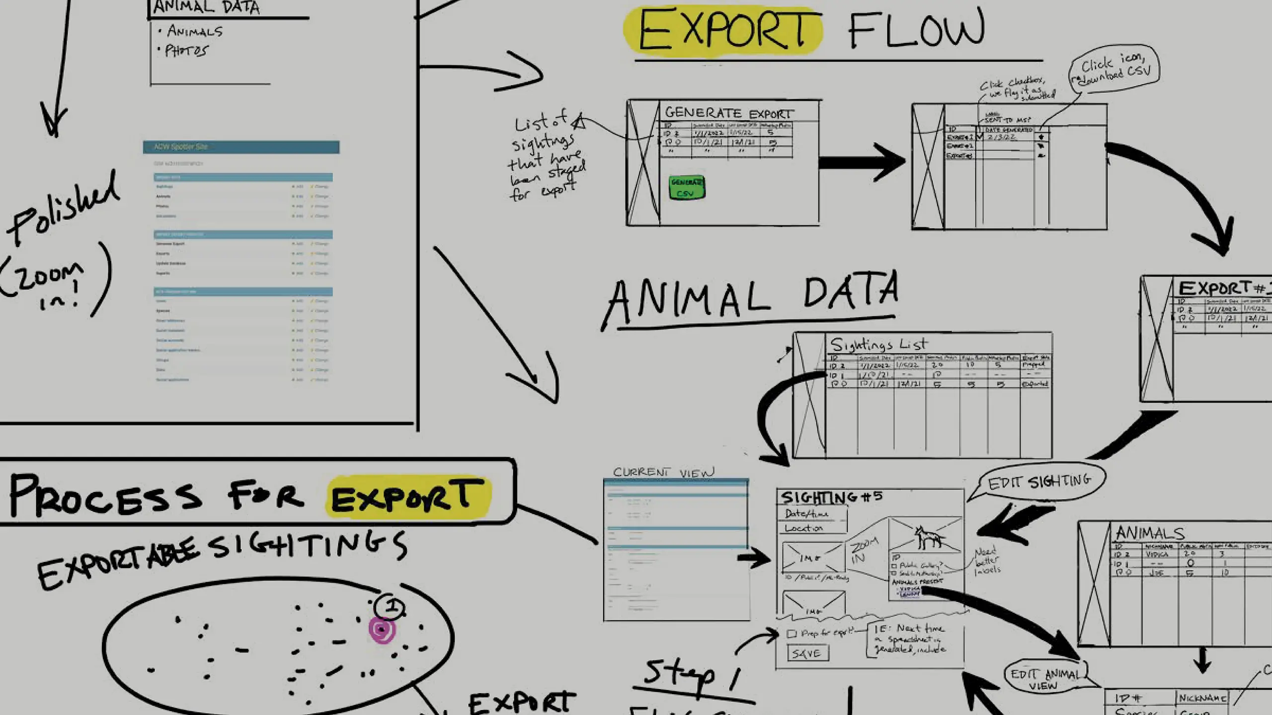 Sketches showing the process for export, the export flow, and animal data of the African Carnivore Wildbook