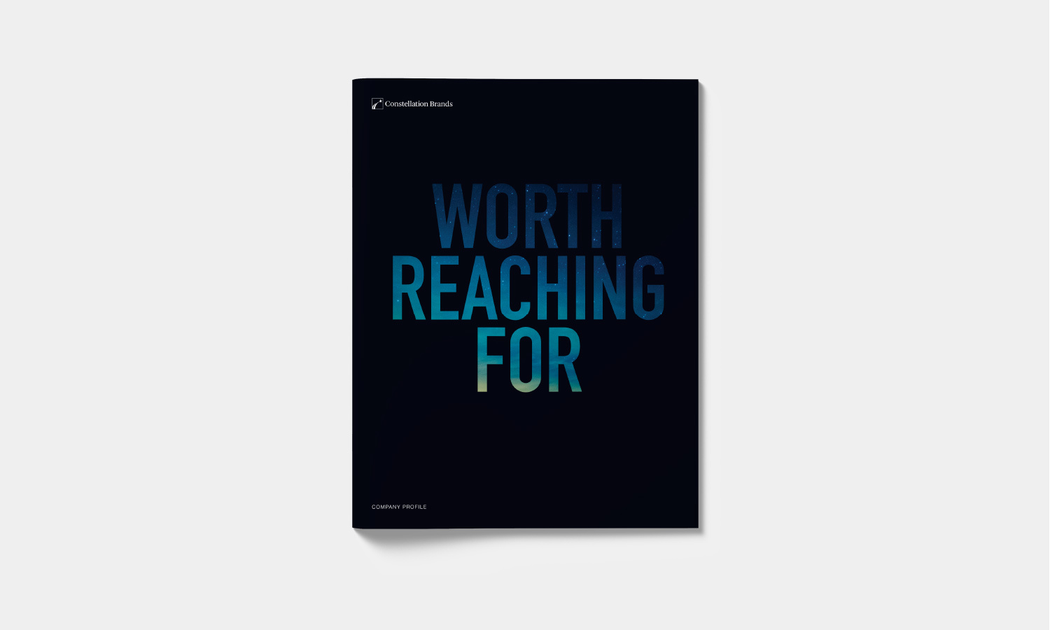 A dark black brochure cover cover with the text "Worth Reaching For" in large, gradient blue letters.