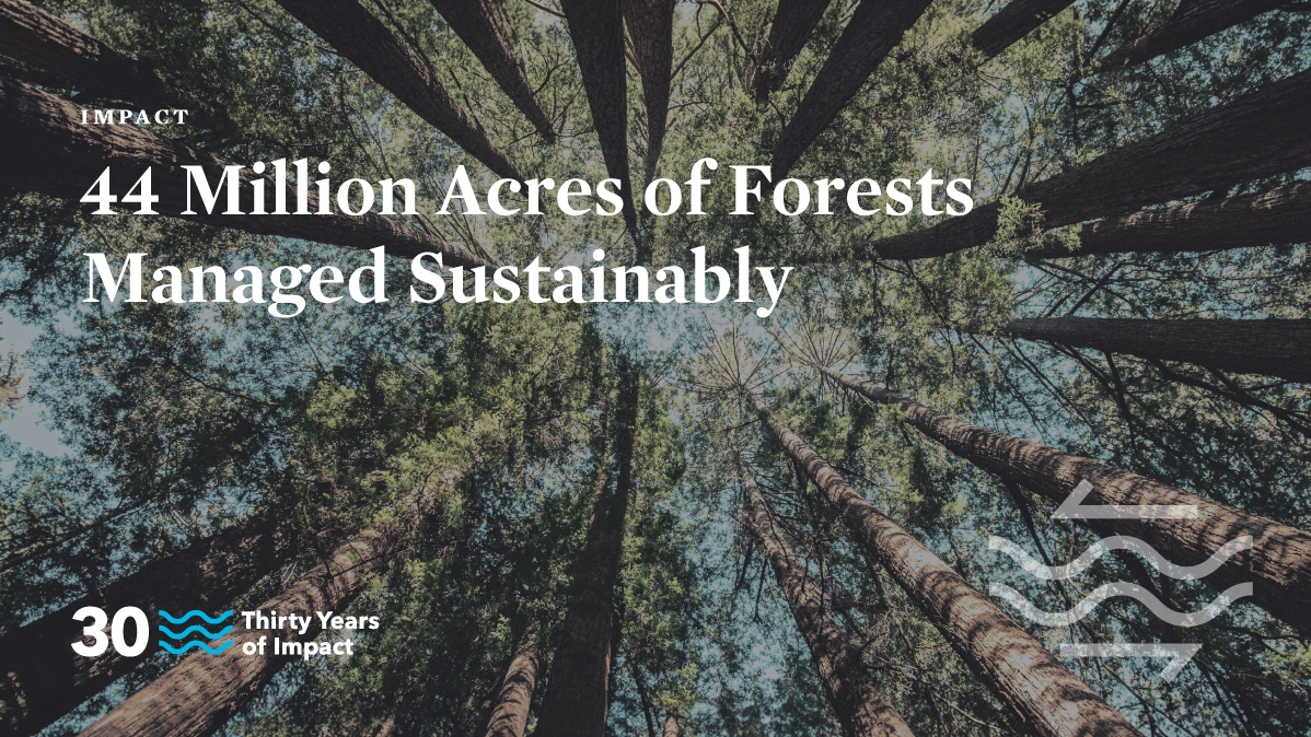 A social post for Great Lakes Protection Fund with a worm's eye view looking up at tall trees in a forest with the text "44 Million Acres of Forests Managed Sustainably."